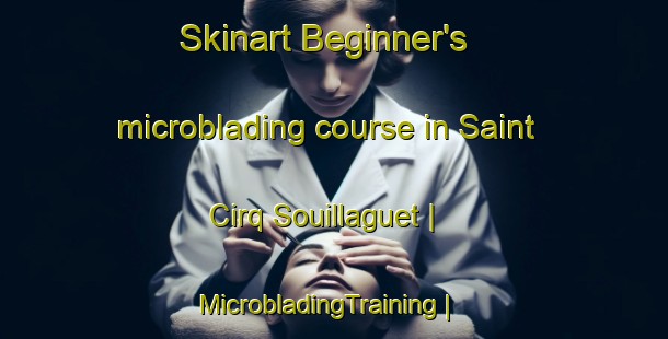 Skinart Beginner's microblading course in Saint Cirq Souillaguet | MicrobladingTraining | MicrobladingClasses | SkinartTraining-France